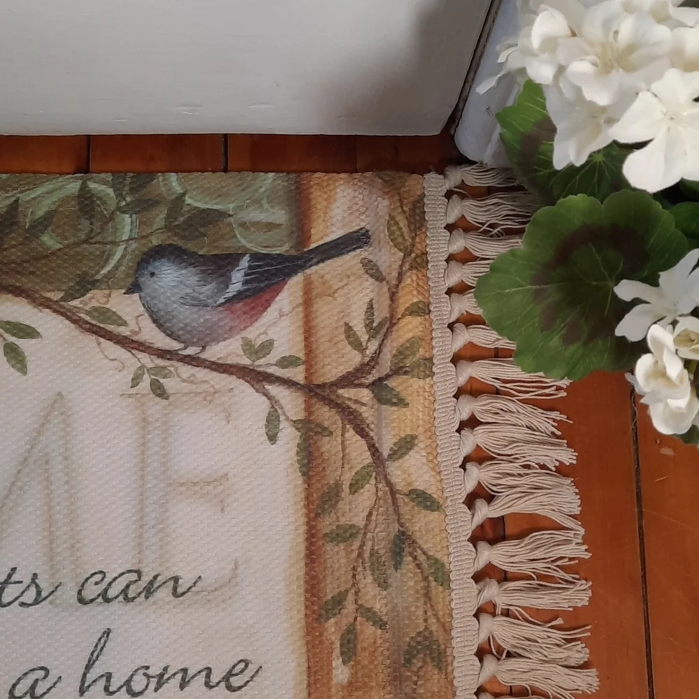 Washable Accent Rug Doormat Home House Kitchen